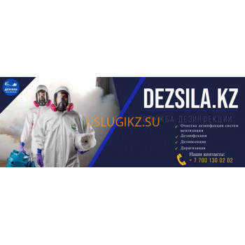Бытовые услуги ДезСила - на портале uslugikz.su