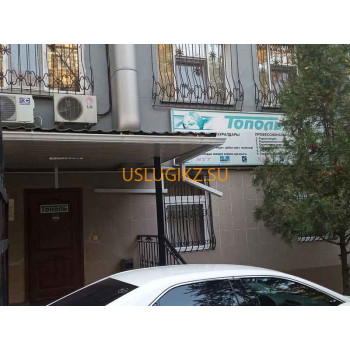 СМИ Тополь - на портале uslugikz.su
